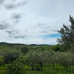 Le Cicale * Pesaro