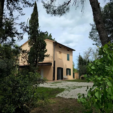 Le Cicale