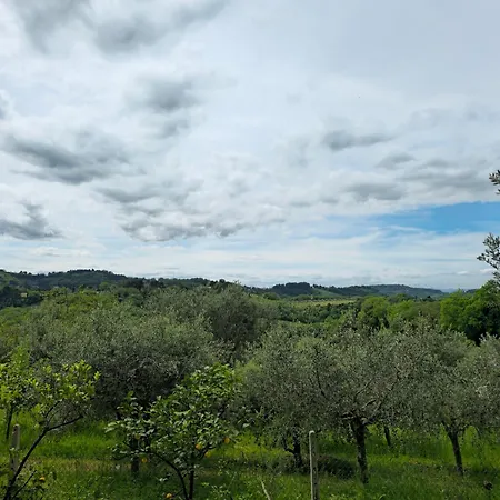 Le Cicale Apartament