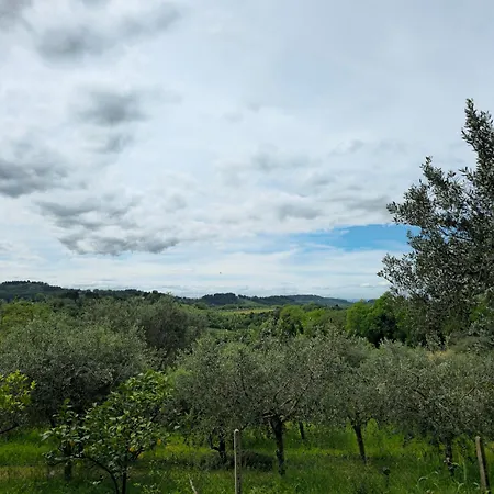 Le Cicale * بيزارو