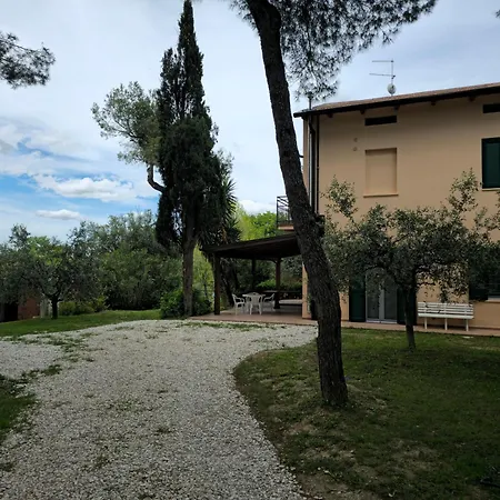 Le Cicale